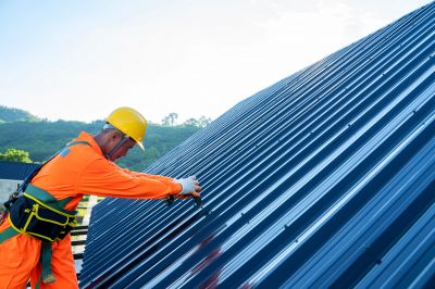Expert Roofing Professionals